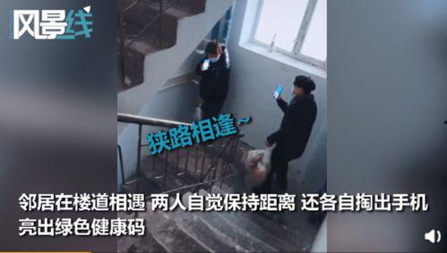 在线爱爱视频在线观看  第3张